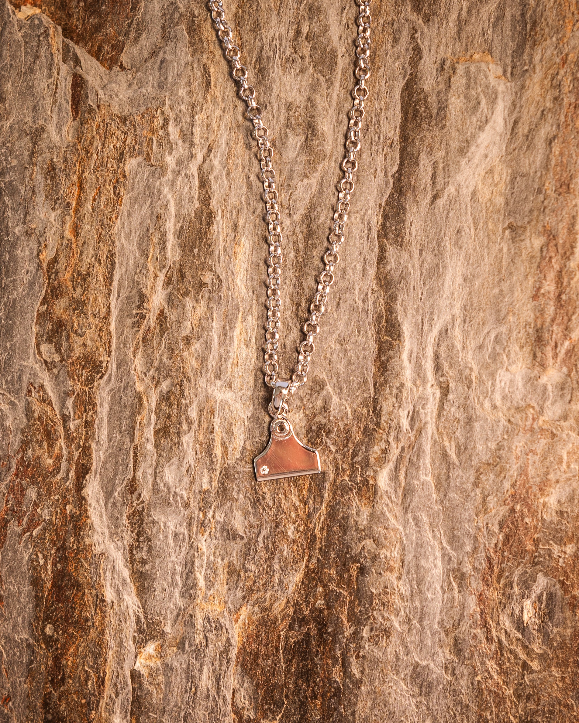 A cattle tag necklace with a white zircon stone pendant, made of sterling silver, displayed on a wooden piece.