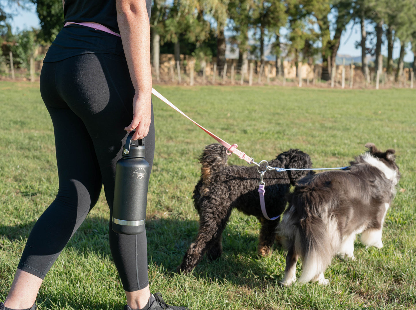 Multi - Dog Hands free lead combo deal