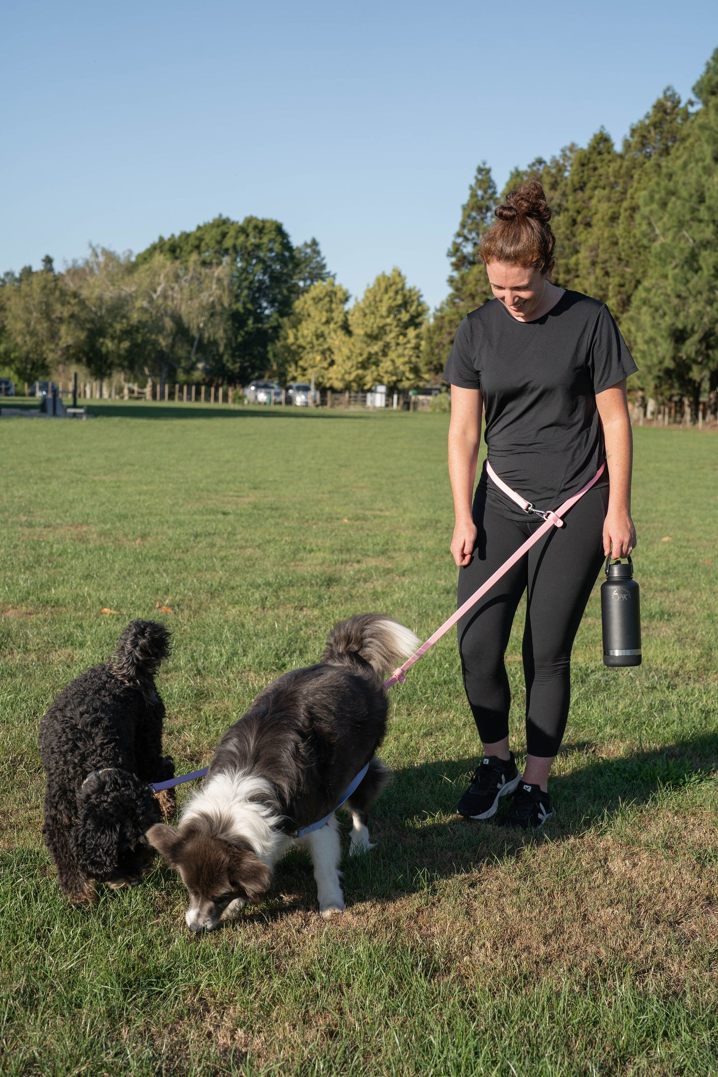 Multi - Dog Hands free lead combo deal