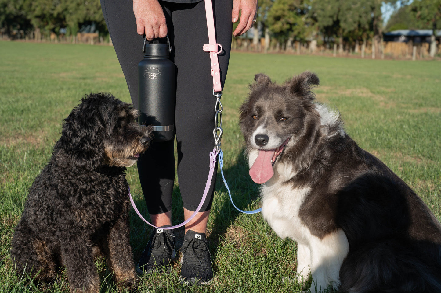 Multi - Dog Hands free lead combo deal