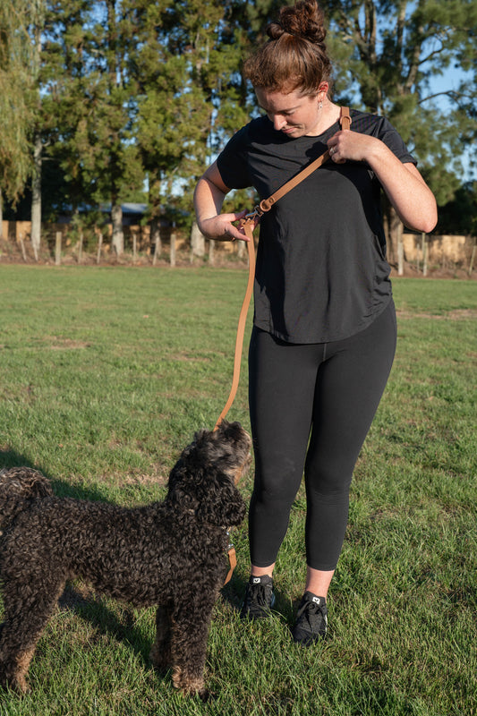 Waterproof hands free dog leash