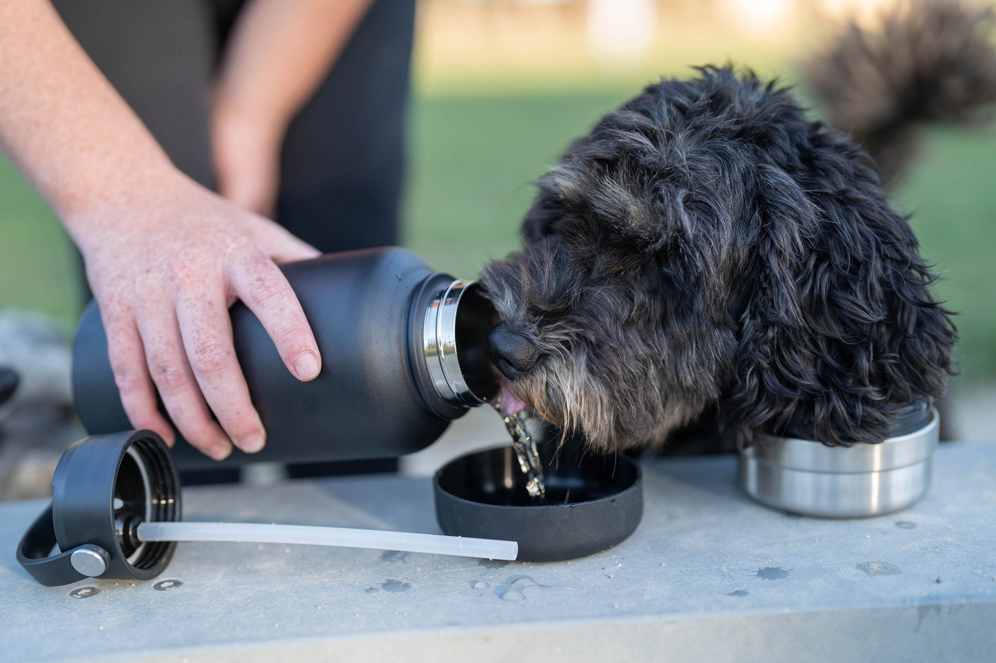 3 N 1 Adventure Dog Water Bottle