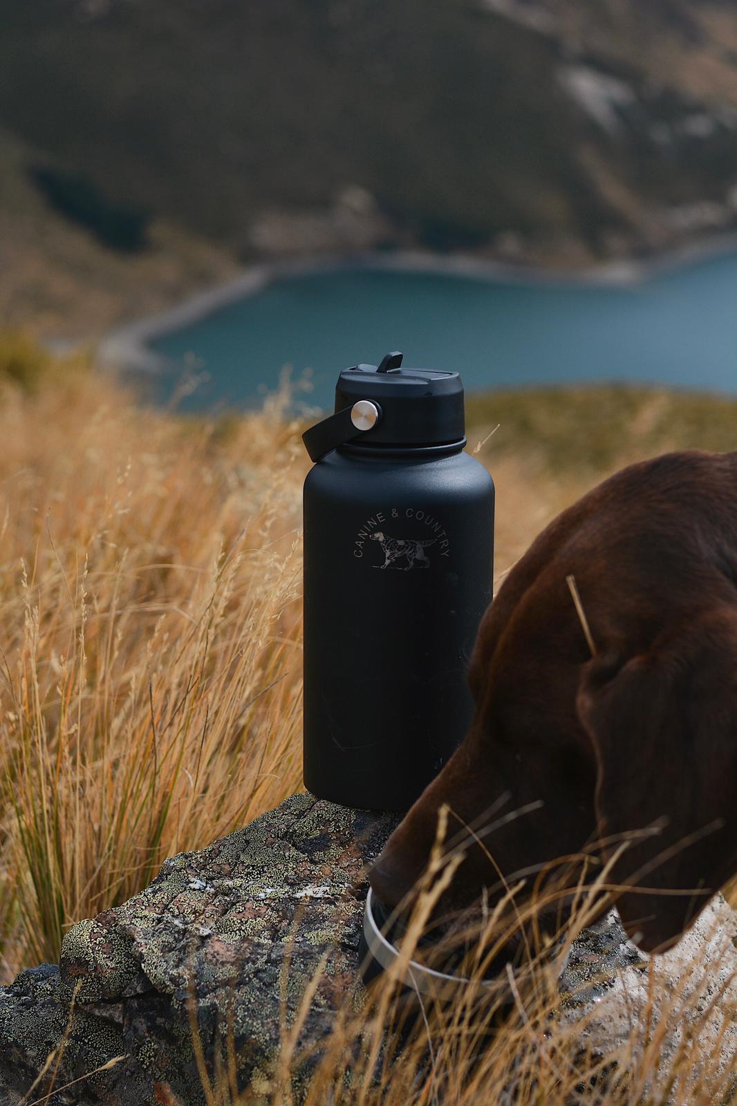 3 N 1 Adventure Dog Water Bottle