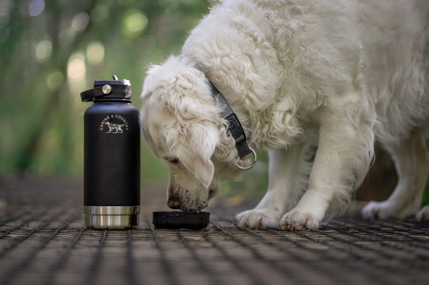 3 N 1 Adventure Dog Water Bottle