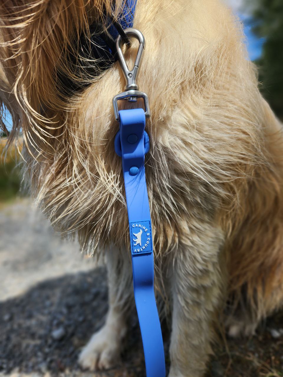 6-IN-1 Hands Free dog leash